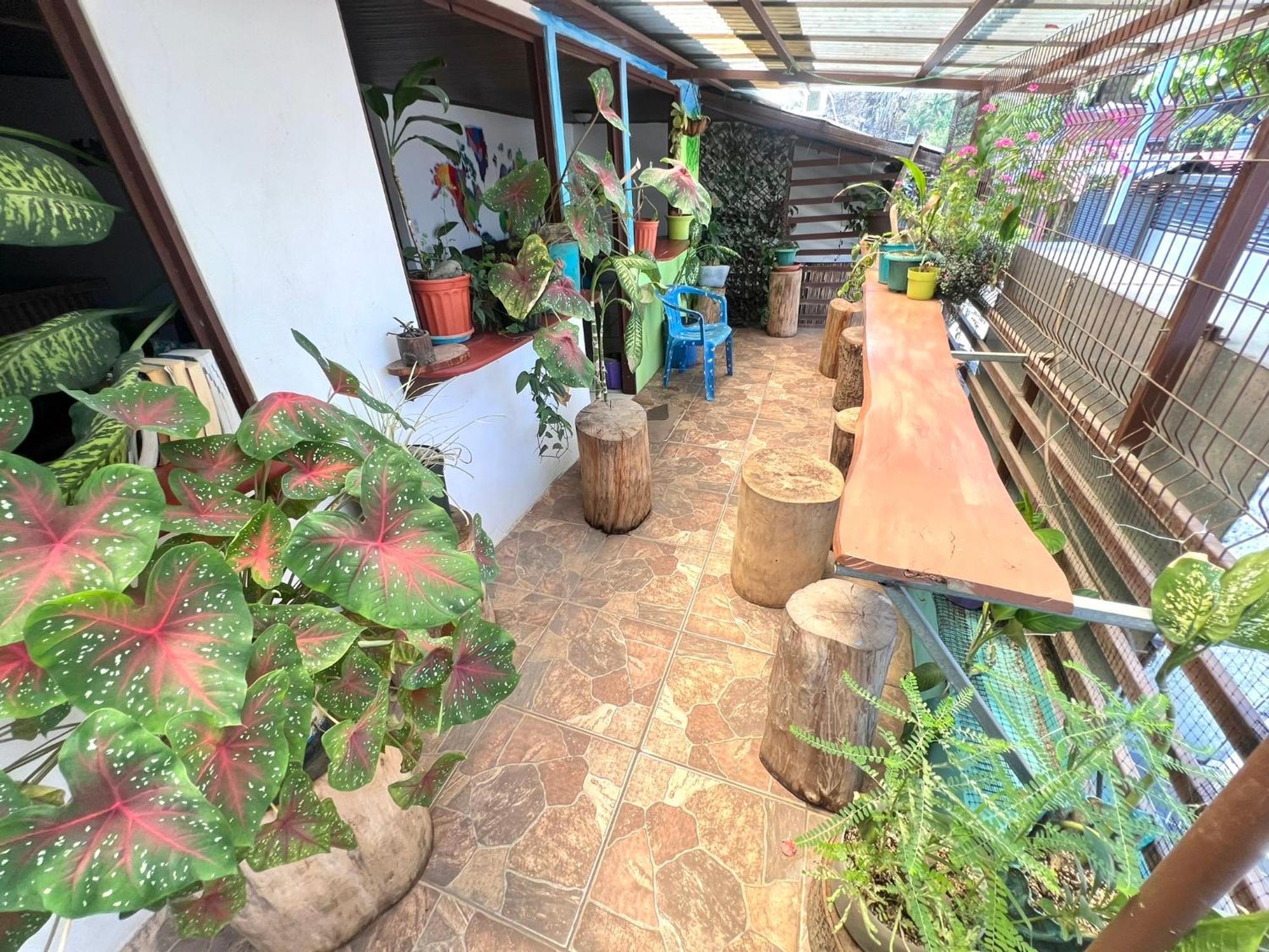 Passifloras Hostel Quepos Zewnętrze zdjęcie